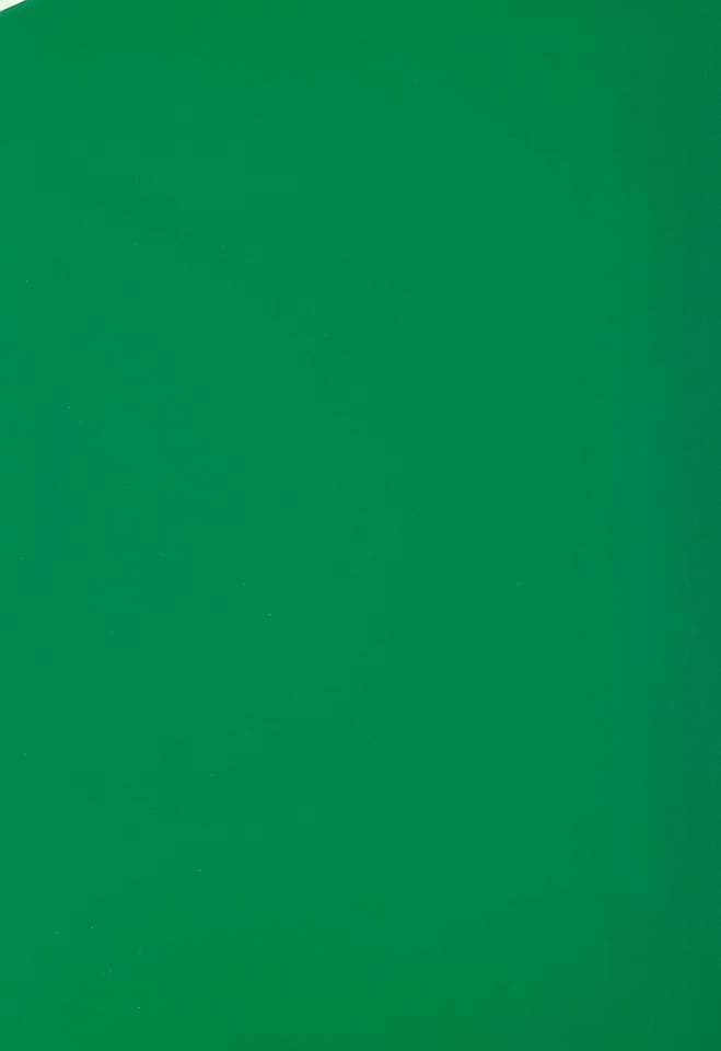 Green HTV 10" x 12" Sheet