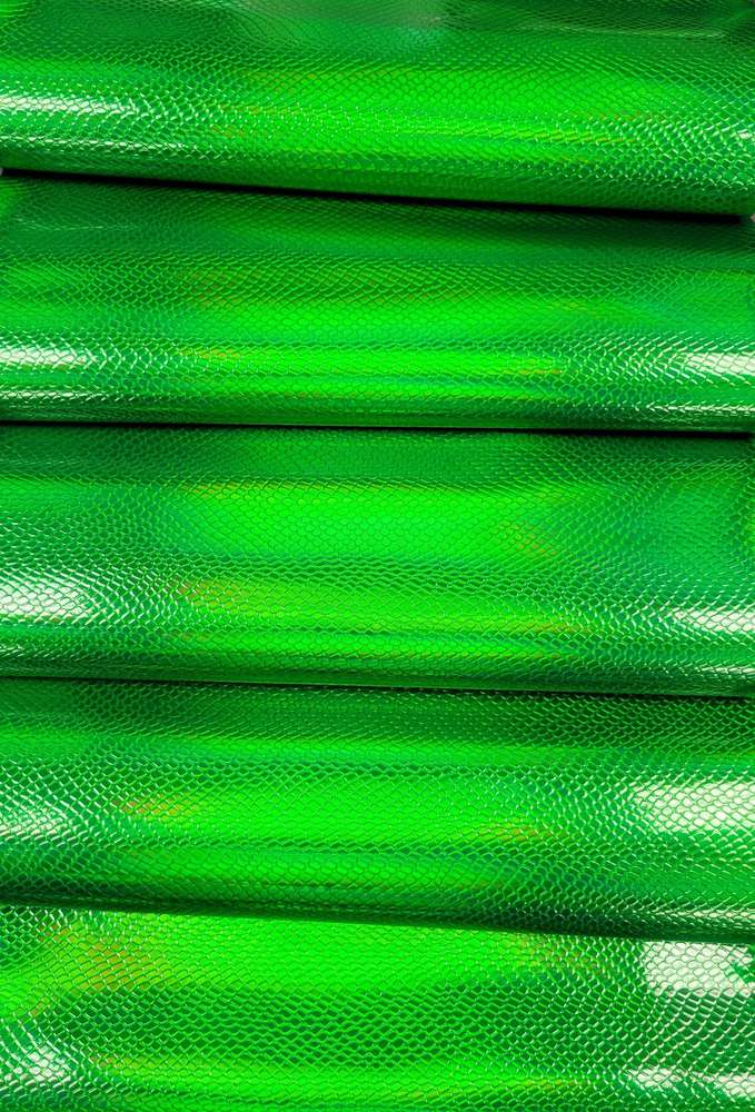 Fern Holographic Scales Vinyl