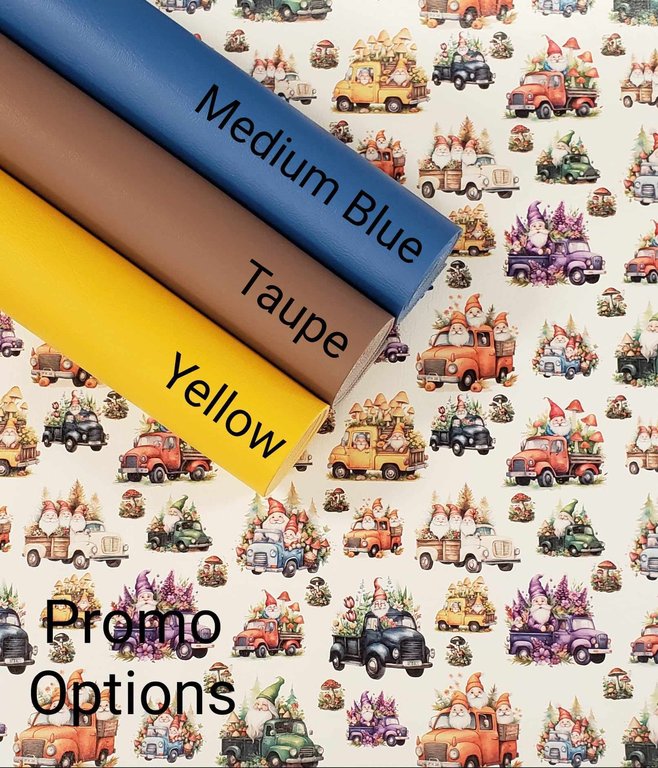 Gnomes on the Go Vinyl