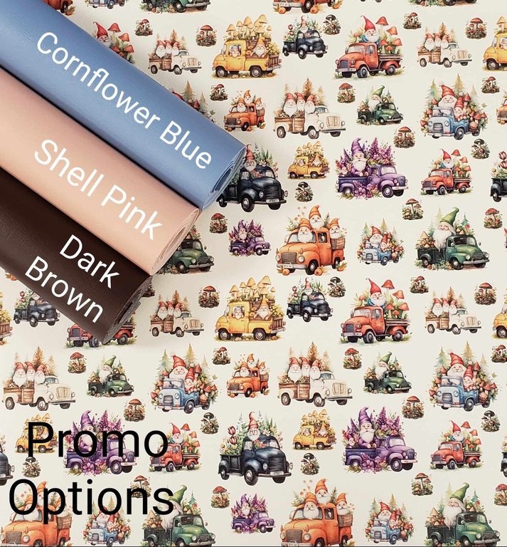 Gnomes on the Go Vinyl