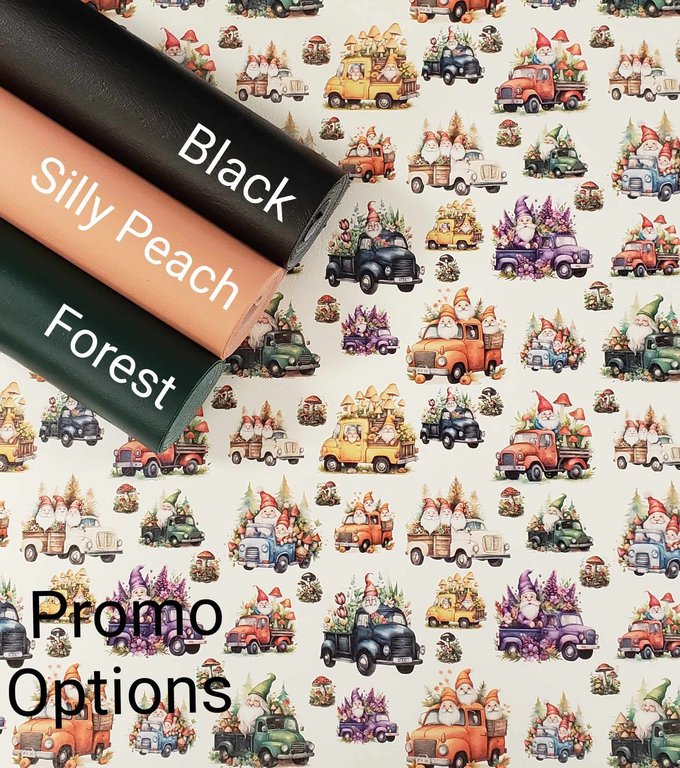 Gnomes on the Go Vinyl