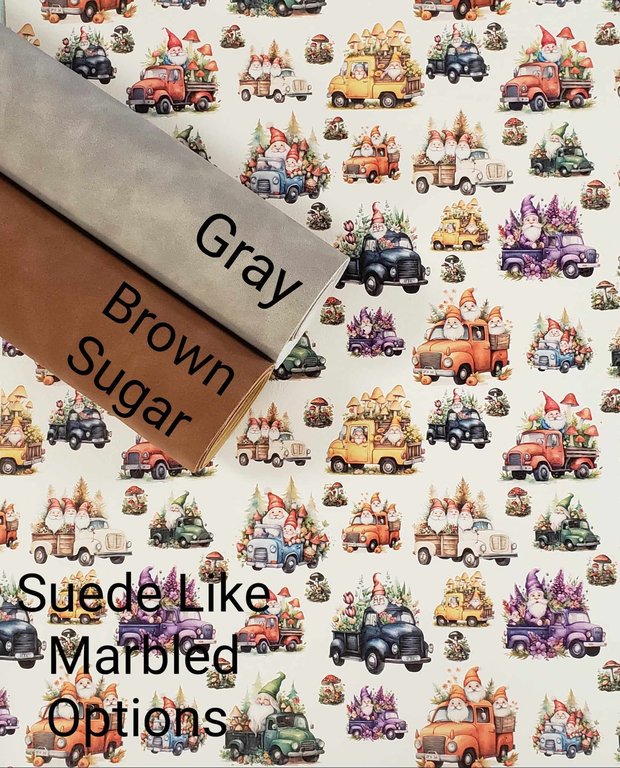 Gnomes on the Go Vinyl