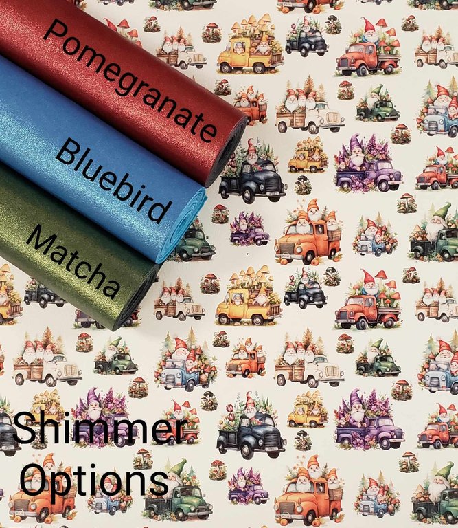 Gnomes on the Go Vinyl