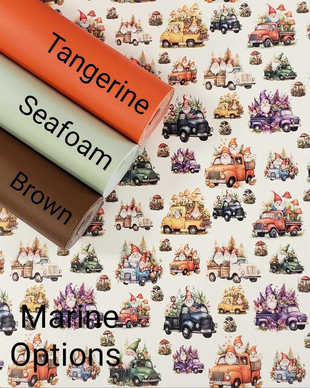 Gnomes on the Go Vinyl