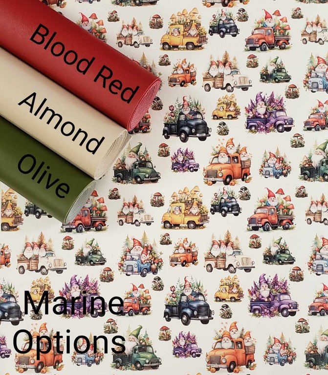 Gnomes on the Go Vinyl