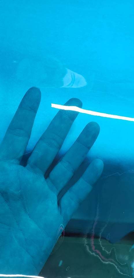 Tropical Blue Tinted 12 Gauge Roll