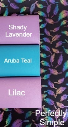 Black Rainbow Feathers Vinyl