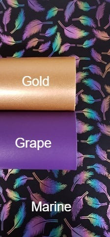 Black Rainbow Feathers Vinyl