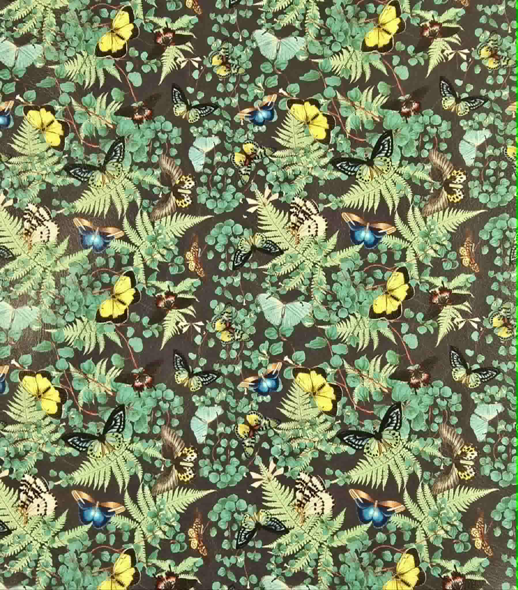 Fancy Flies (Ebony) By Honey Bear Studio Vinyl Roll