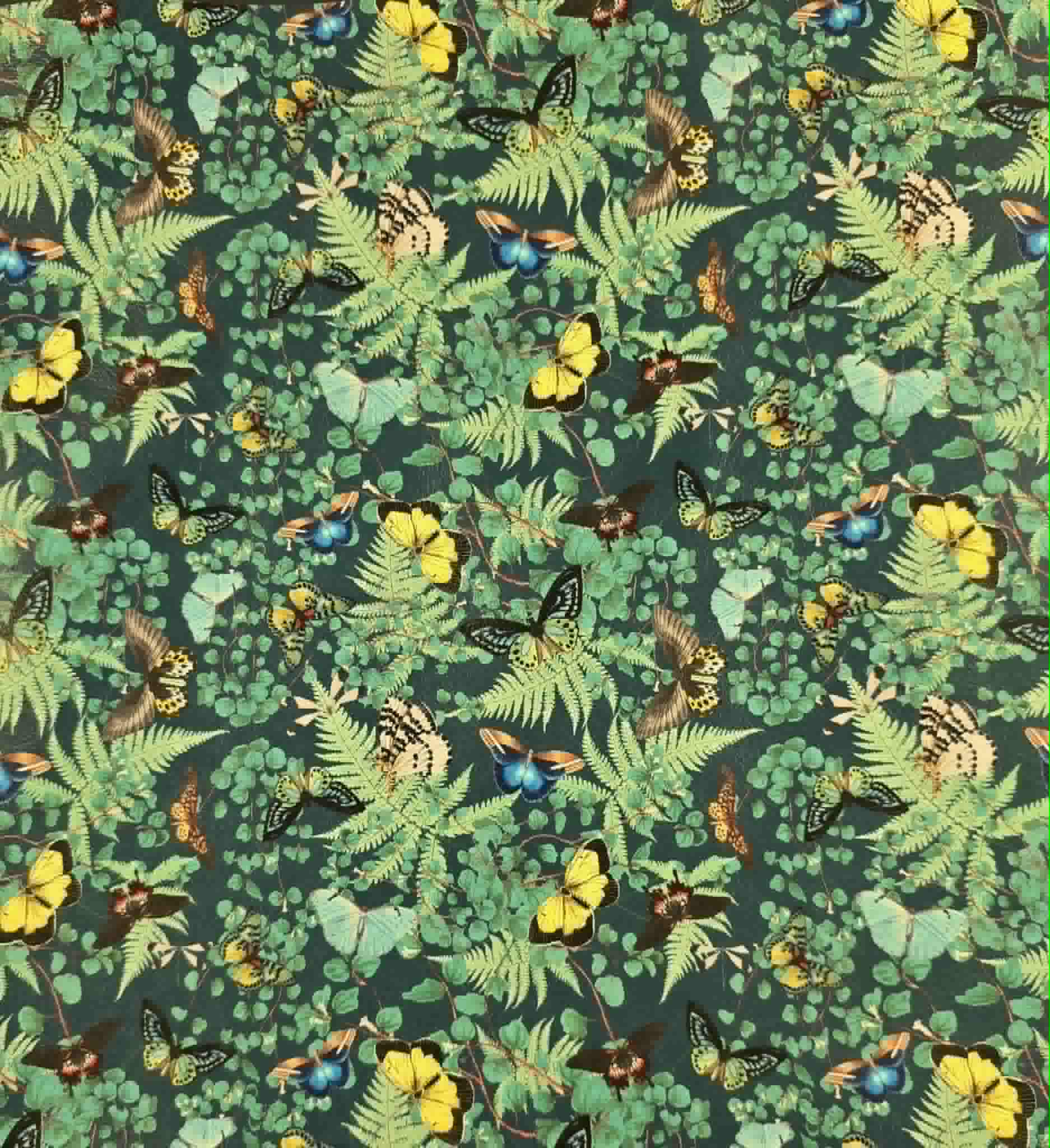 Fancy Flies (Teal) By Honey Bear Studio Vinyl Roll