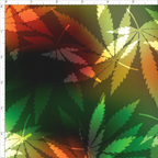 Rasta-Far-Out! WPC