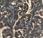 Raven's Garden Vinyl